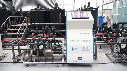 渾身都是高科技 蔬菜大棚變身智慧工廠